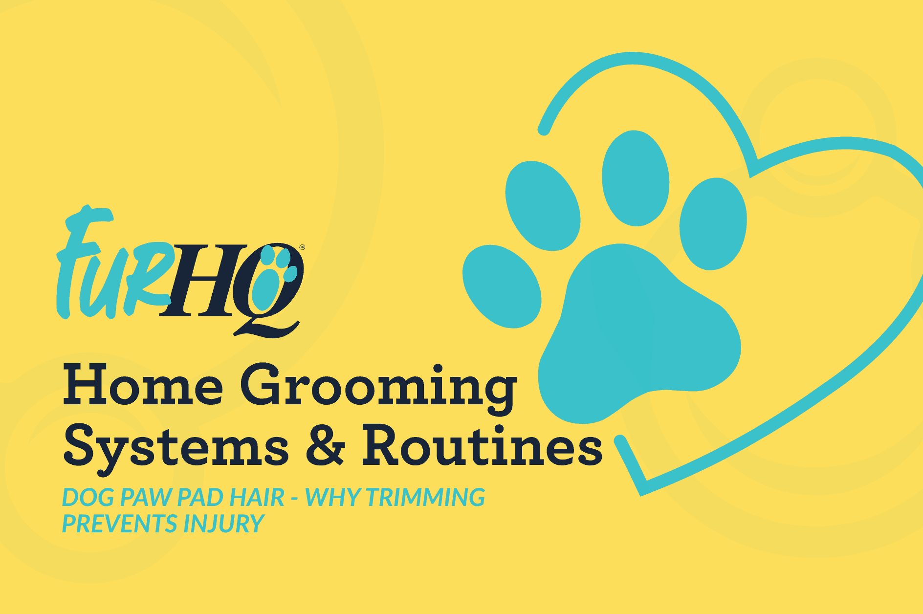 Dog Paw Pad Hair - Why Trimming Prevents Injury