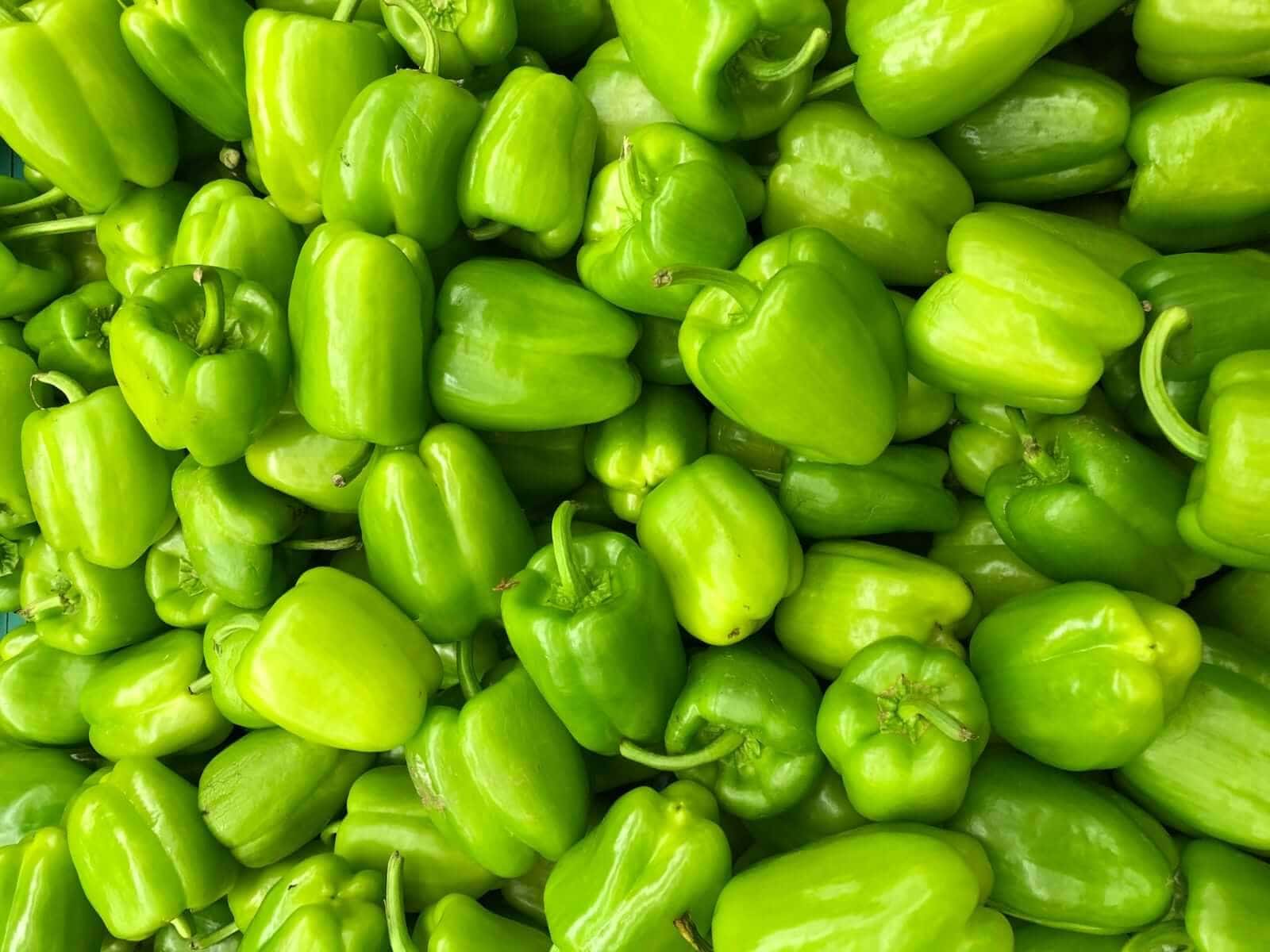 Can Chickens Eat Green Bell Peppers?