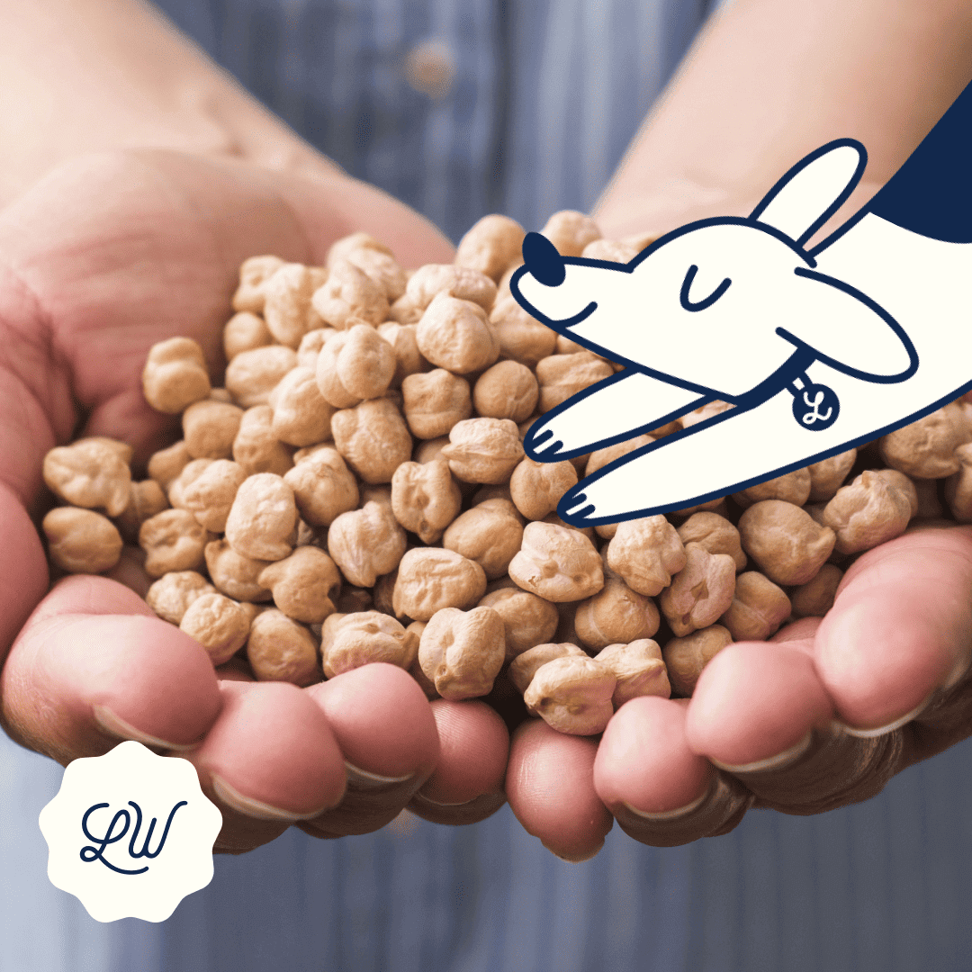 Can My Dog Eat Chickpeas?