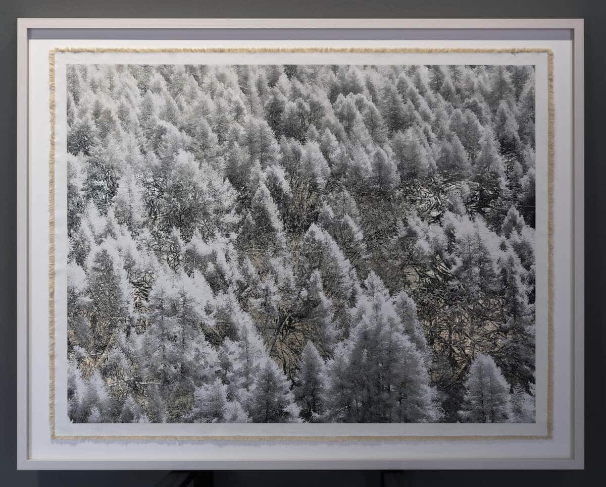 COLLECT BILL CLAPS' GLISTENING GOLD ARTWORKS