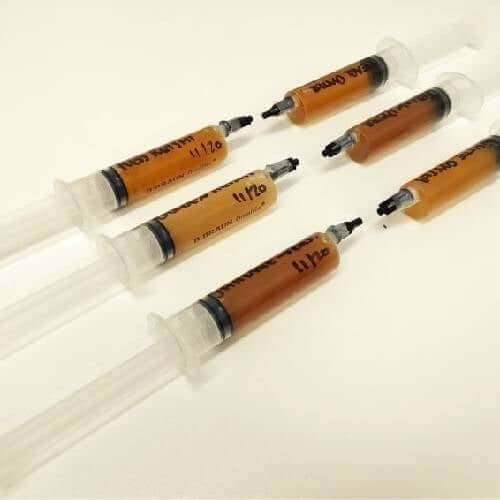 Golden Teacher Liquid Spores
