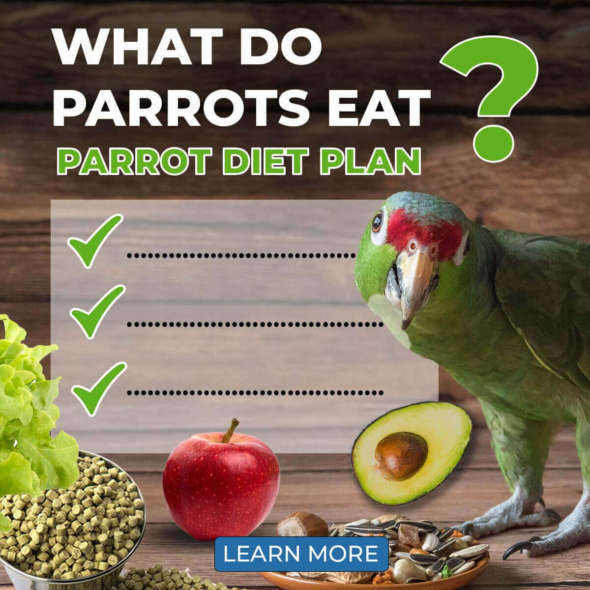 What Do Parrots Eat? - Parrot Diet Plan