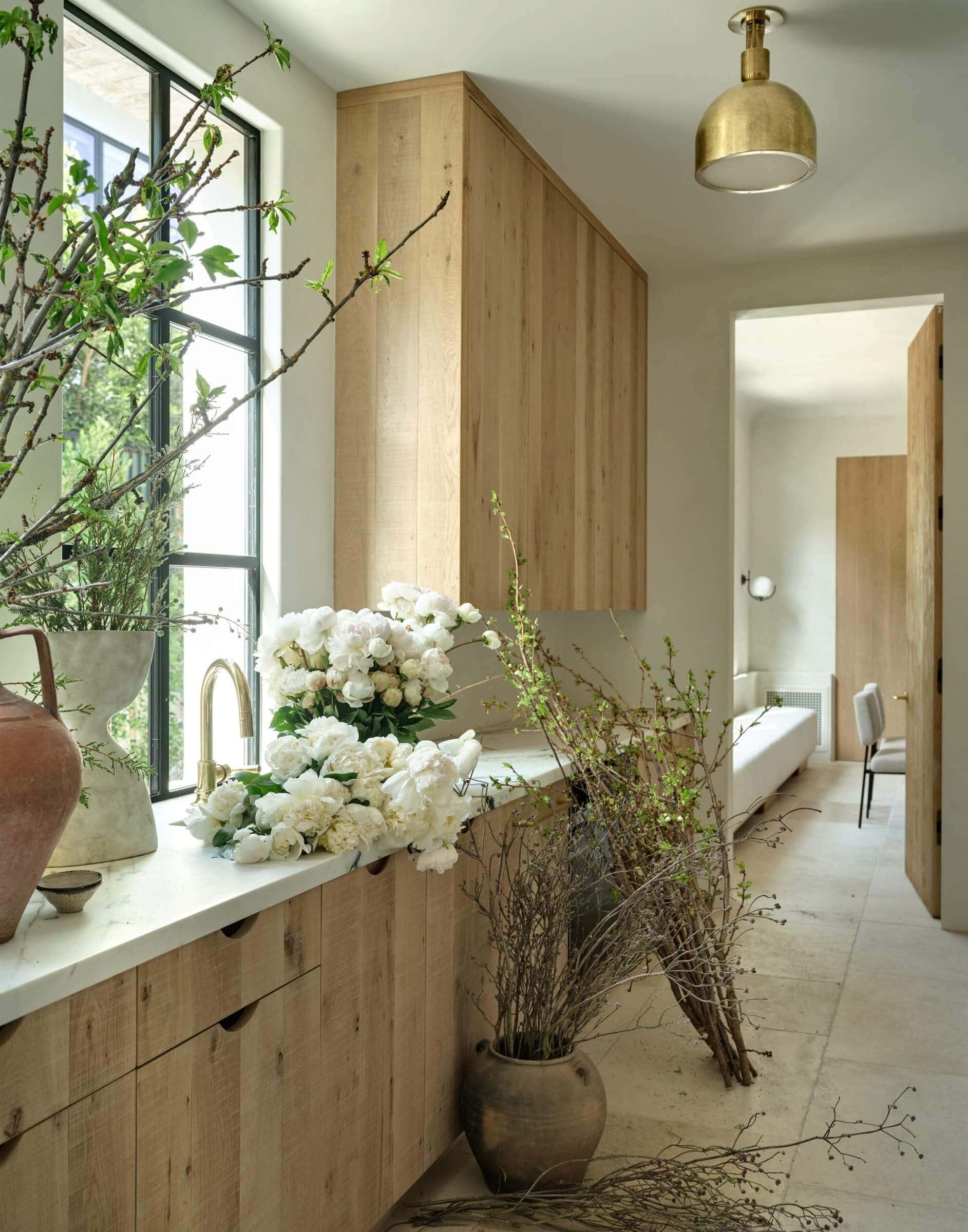 Warm minimalism plants