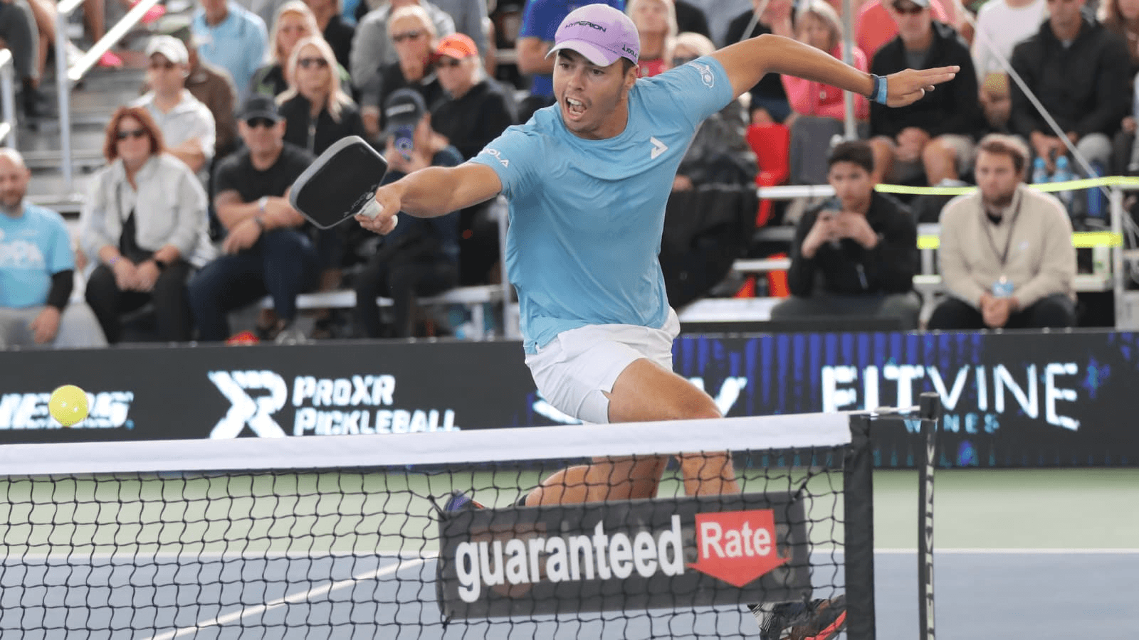 Pro pickleball economics — S-tier stars Anna Leigh Waters and Ben Johns dominate sponsorships and prize money