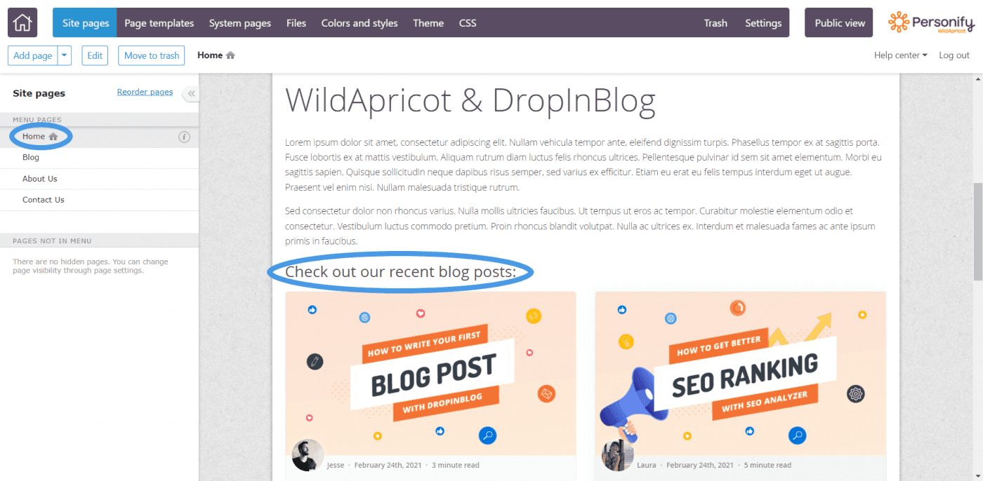 Add recent posts to your WildApricot website
