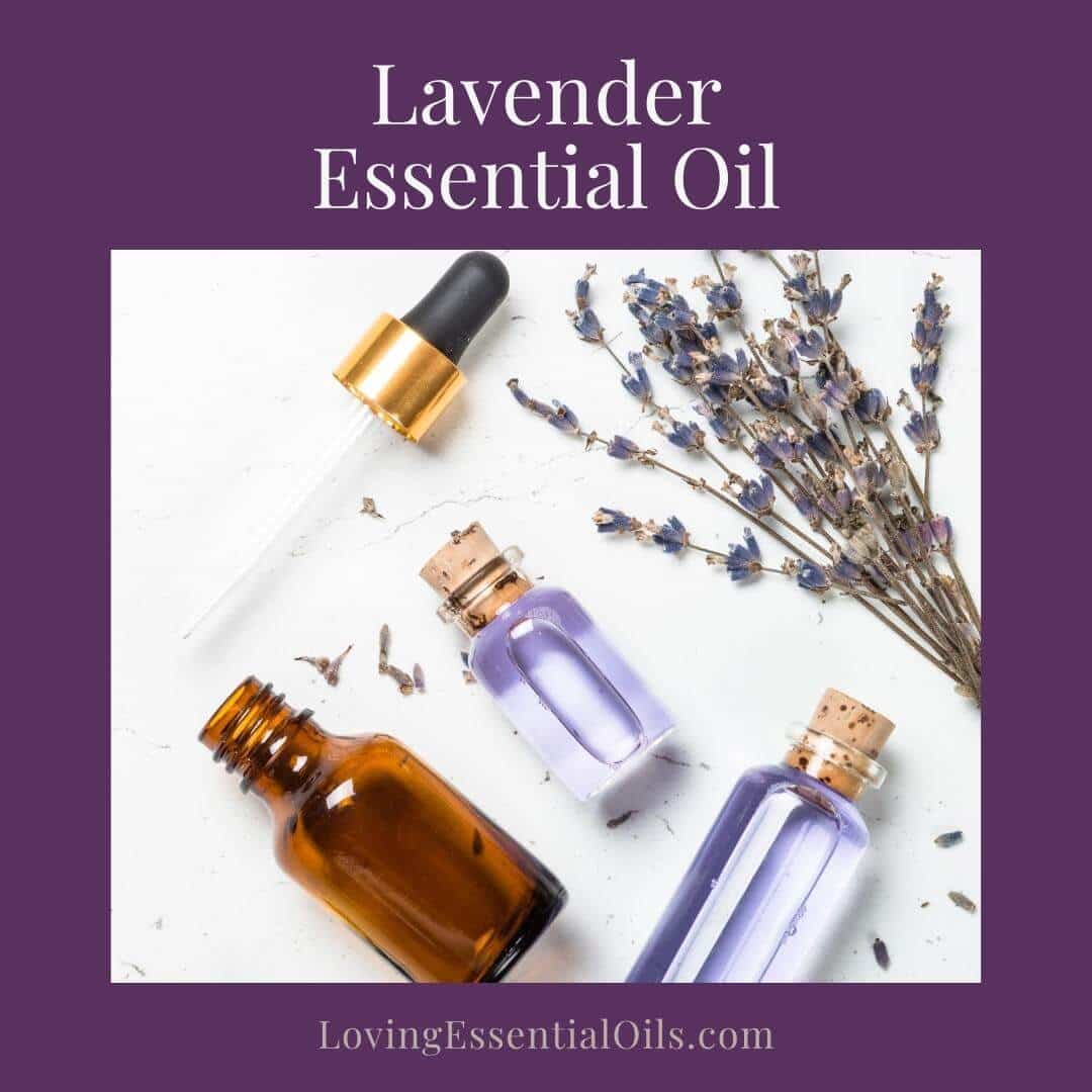 Lavender essential oil to mix with tea tree in a diffuser
