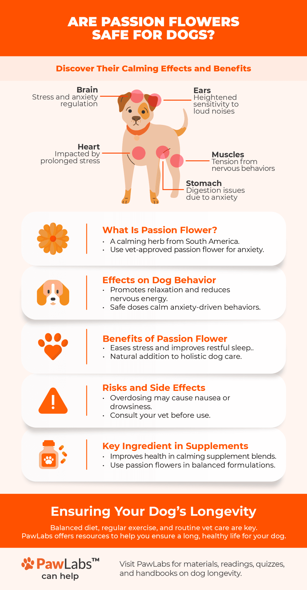 Infographic: 'Are Passion Flowers Safe for Dogs?' Highlights stress-affected areas in dogs (brain, ears, heart, stomach, muscles), benefits of passion flower, potential risks, and its use in supplements. Ends with tips on ensuring dog longevity and PawLabs resources.