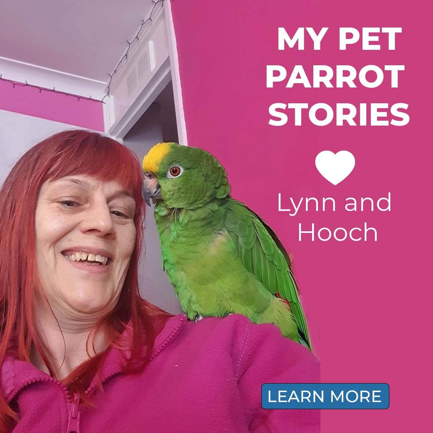 My Pet Parrot Stories: Lynn & Hooch