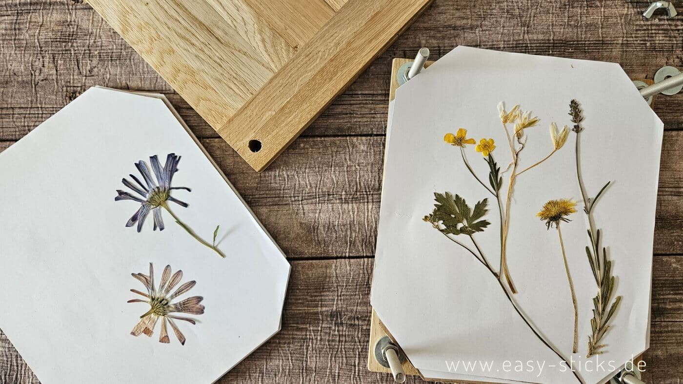 Blumenpresse basteln mit Easy-Sticks Holz (DIY)