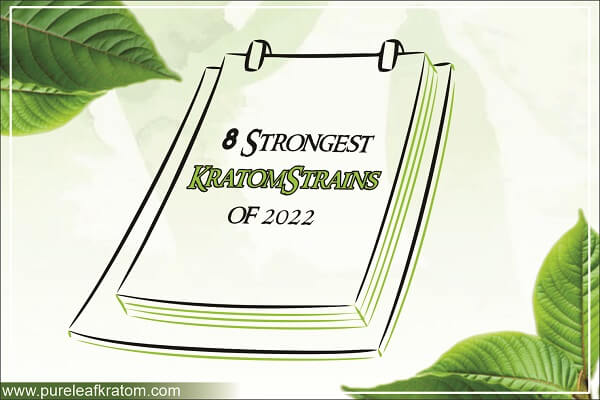 Take these Strongest Kratom Strains to Get the Most Out of Your Dose