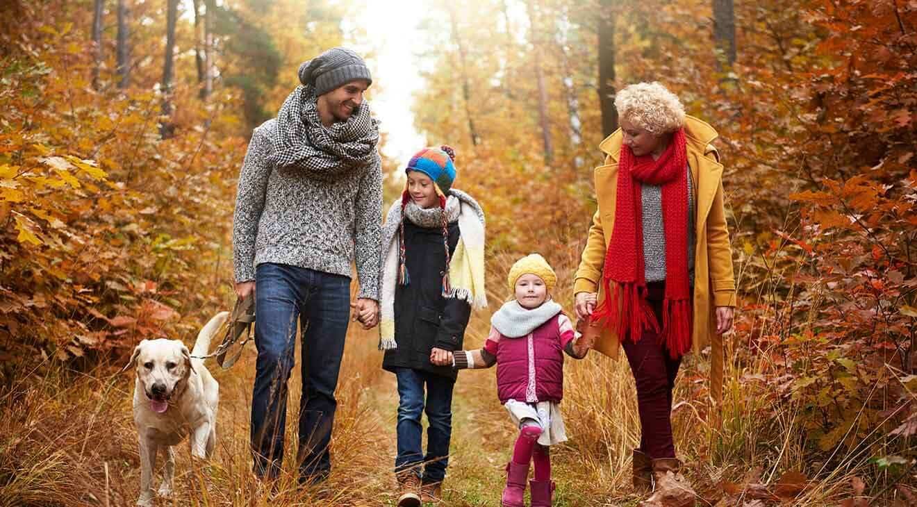 7 Ways to Keep Your Dog Walks Interesting