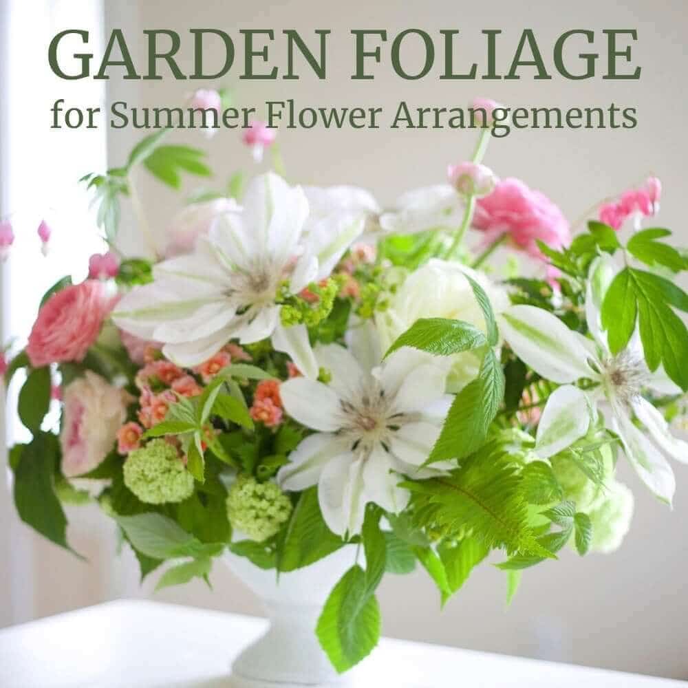 Garden Foliage for Flower Arrangements - Longfield Gardens
