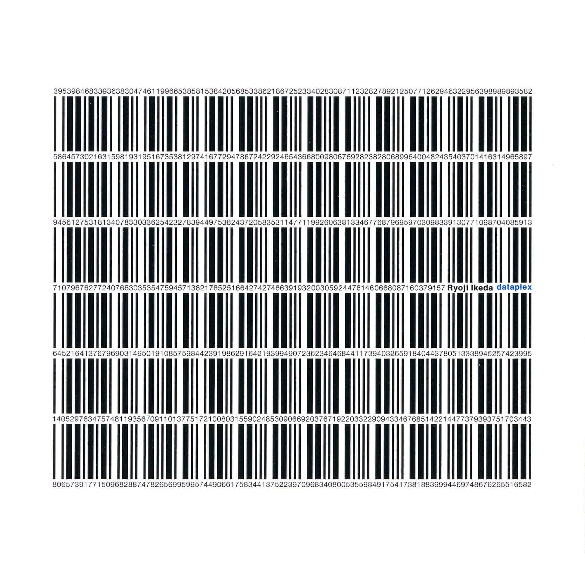 Ryoji Ikeda - dataplex