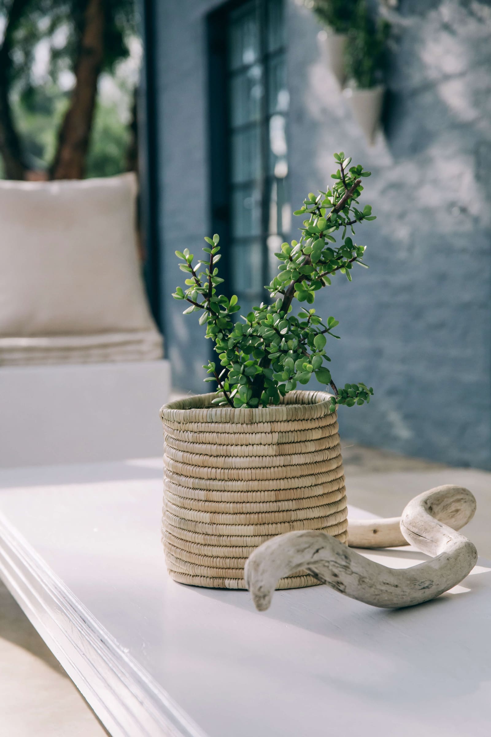 March at Mo’s Crib: A Month of Firsts, Growth, and Sustainability
