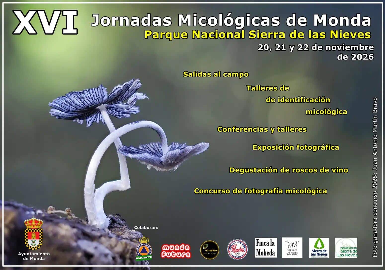 Jornadas Micológicas in Monda, Costa del Sol