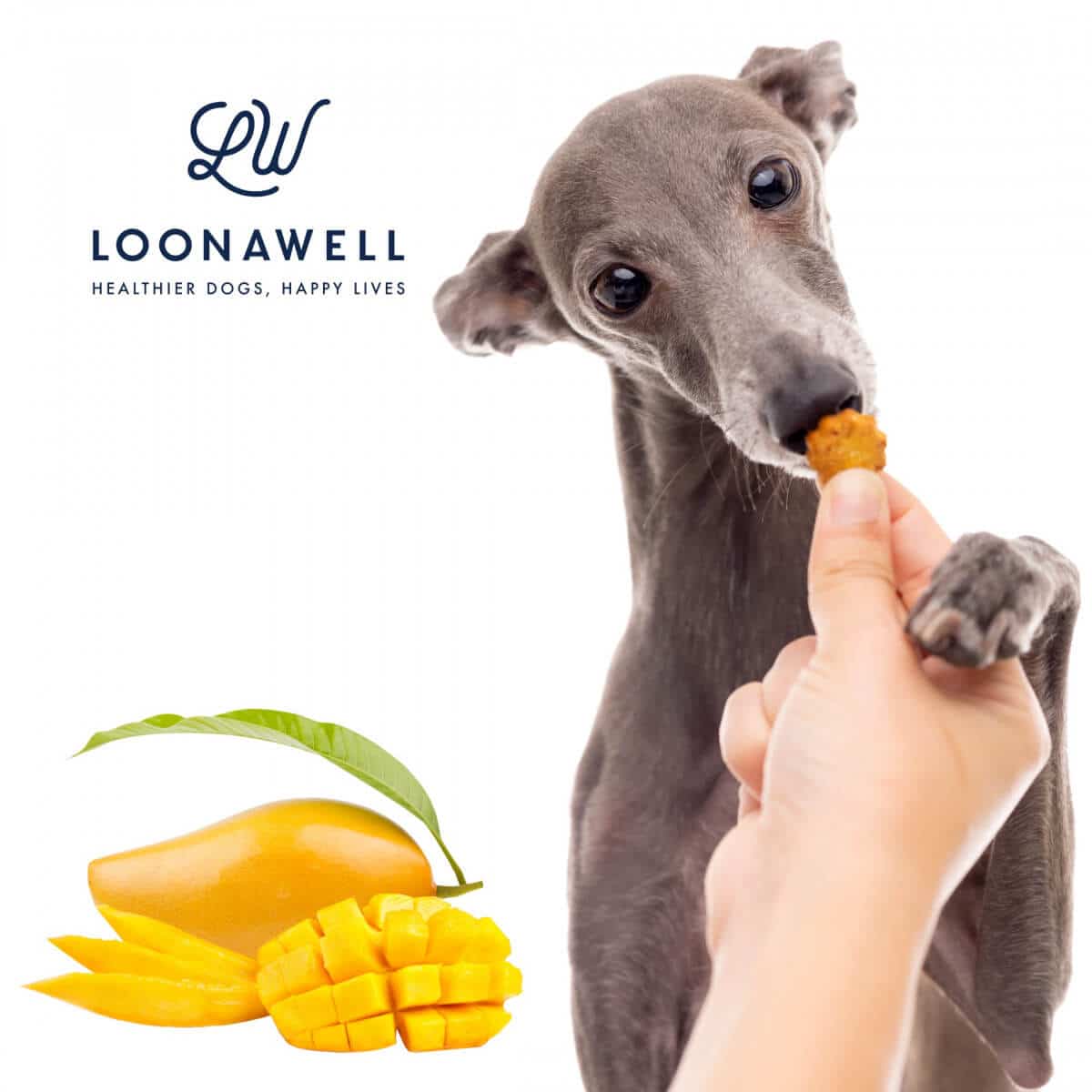 Is Mango safe for my dog?