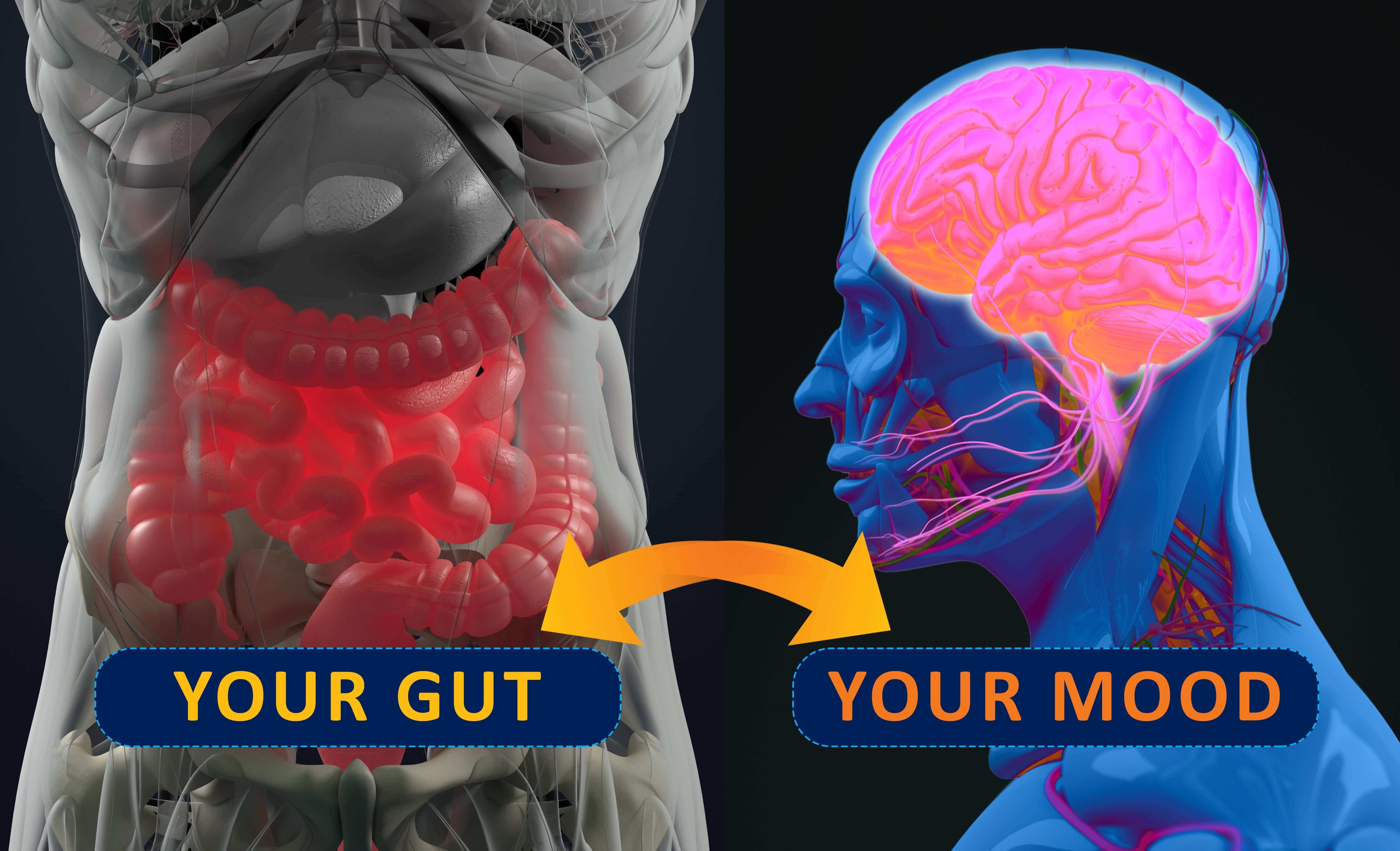 Can a Leaky Gut Cause Anxiety? What You Should Know