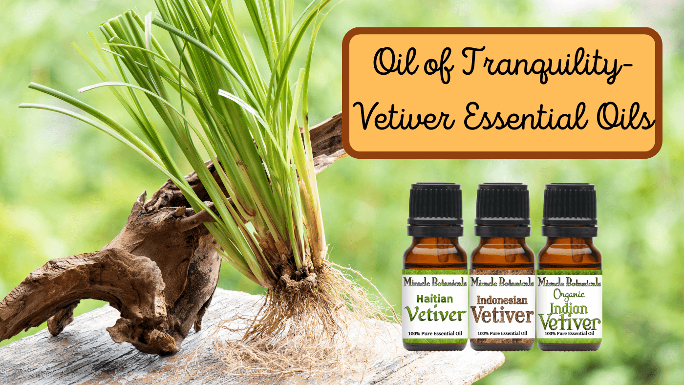 Oil of Tranquility - Vetiver Essential Oils