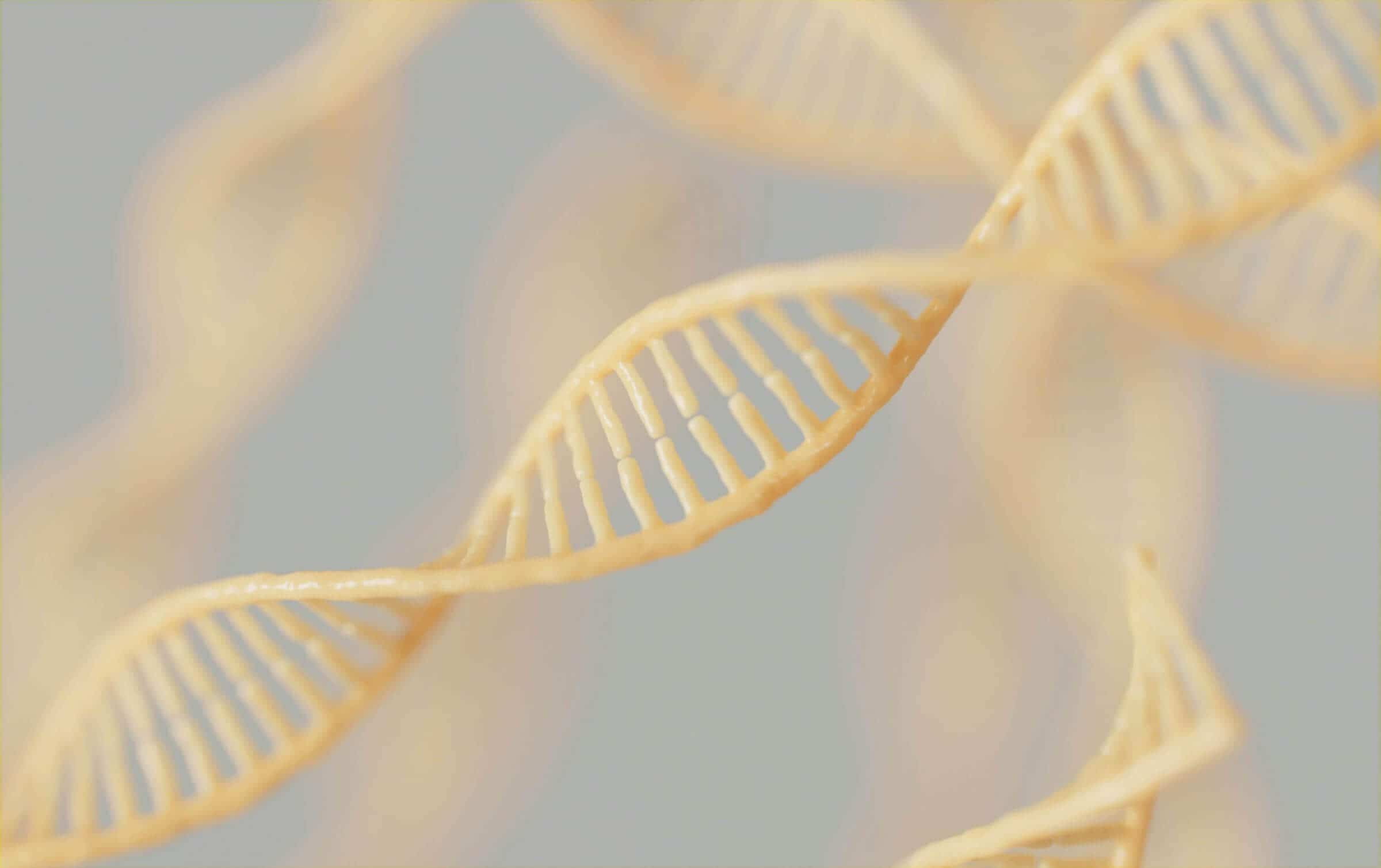 Sperm DNA Fragmentation: Signs Your Sperm DNA Is Damaged