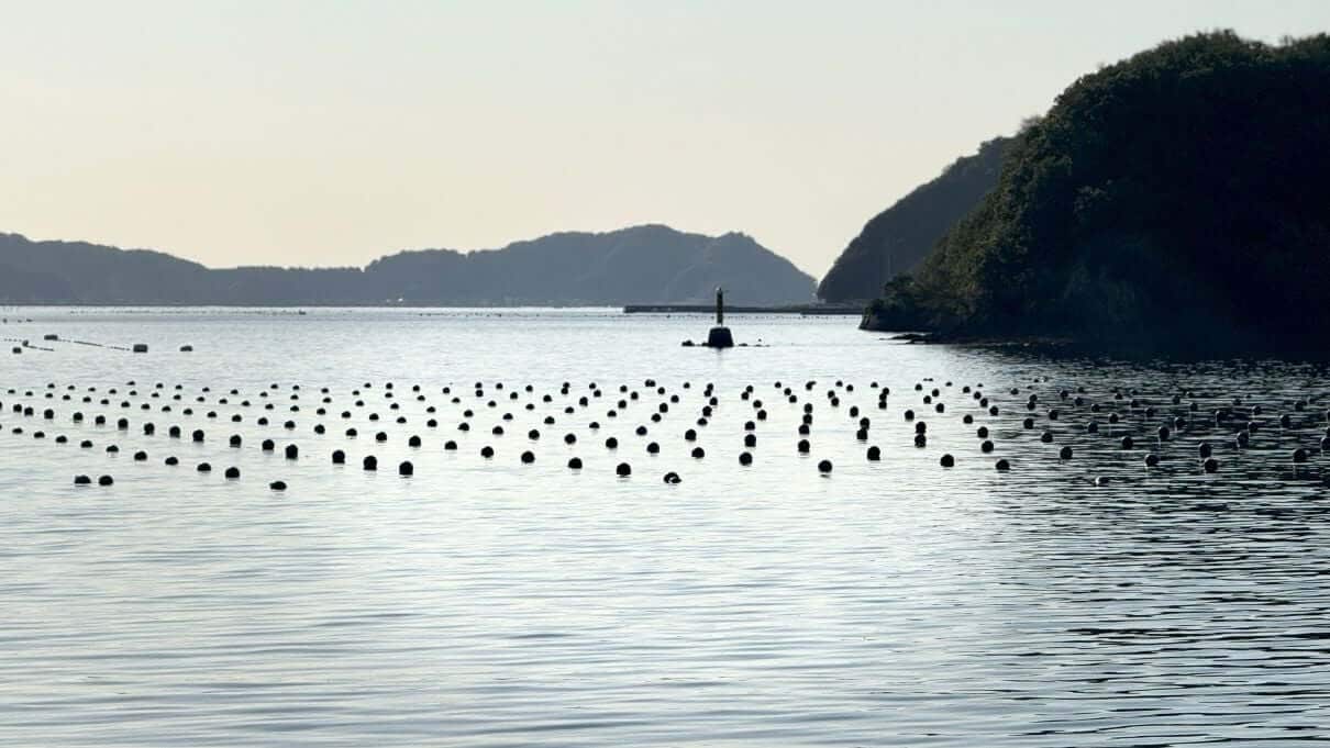 View from the akoya pearl farm in Uwajima, Japan