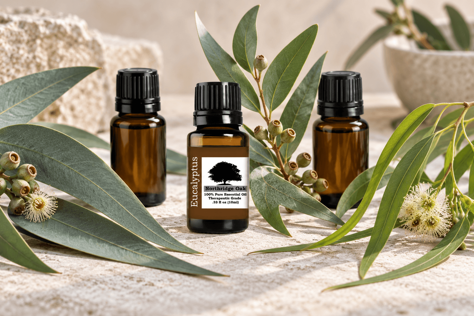Eucalyptus Globulus vs Radiata vs Lemon Eucalyptus