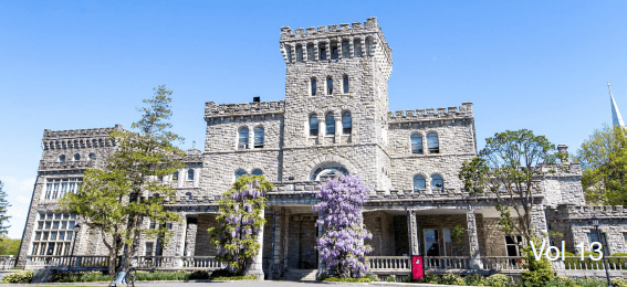 Manhattanville University's EdD Spring 2024 Newsletter!