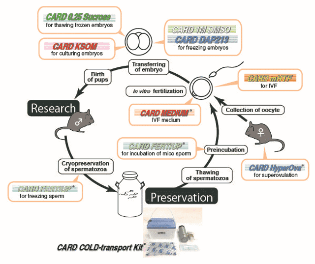Step-by-step protocol infographic for CARD Hyperova method