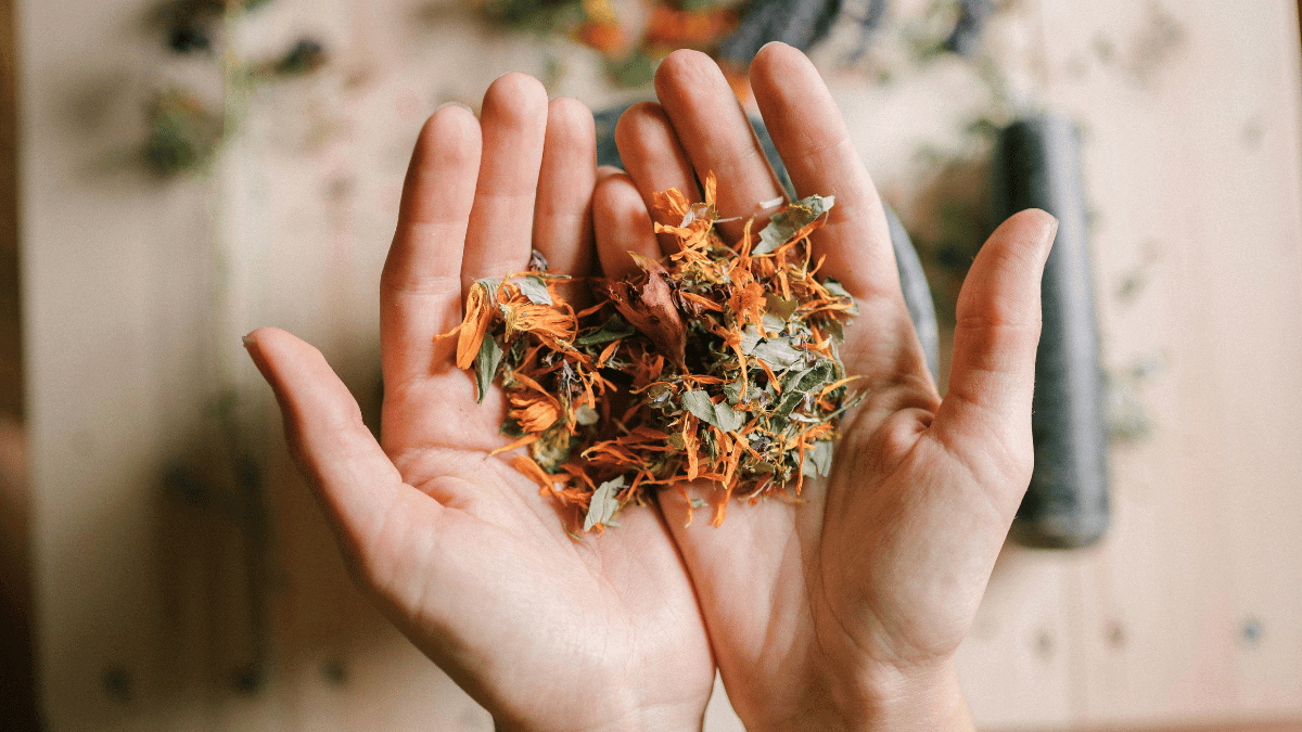 Naturopathie et endométriose : une approche globale pour aider à apaiser les douleurs