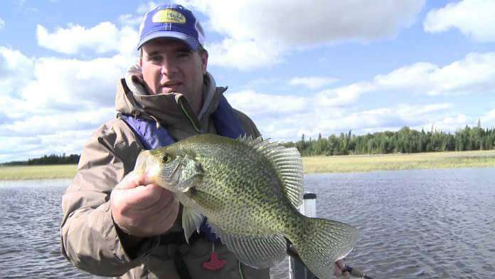 How to Fish Crappie Like Pros - Jigs, Baits and the Season