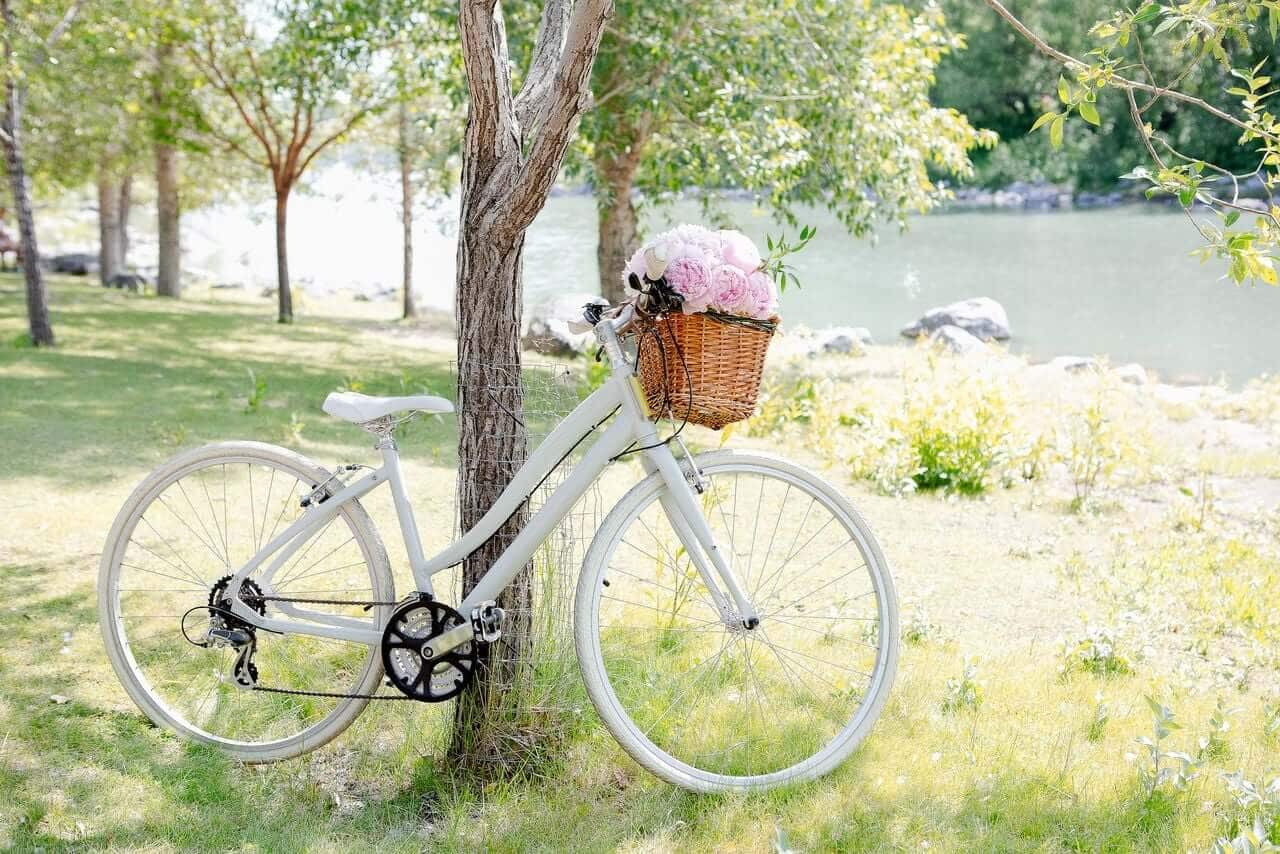 do something you love, white bicycle with basket and pink flowers, leaning on a tree, grass, river