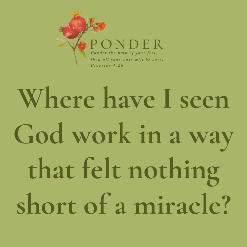 Ponder:  Where have I seen God work in a way that felt nothing short of a miracle?