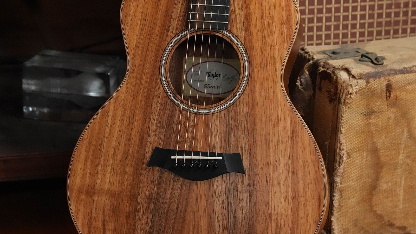 Taylor GS Mini Review: Why It Sells, Who It's For, and Where It Stops