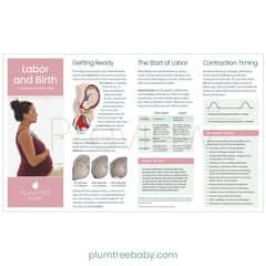 PI_QRG_labor_birth_front_preview_240x240.jpg?v=1647898149