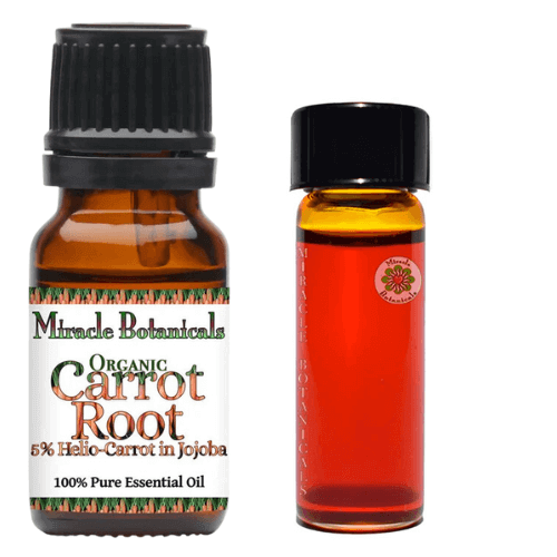 carrot root oil