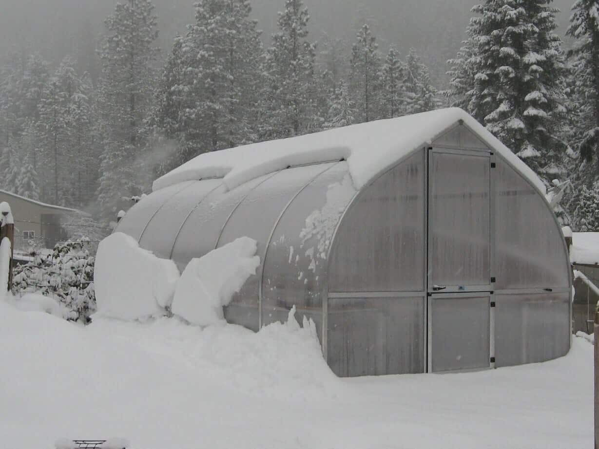 Do Greenhouses Stay Warm in the Winter
