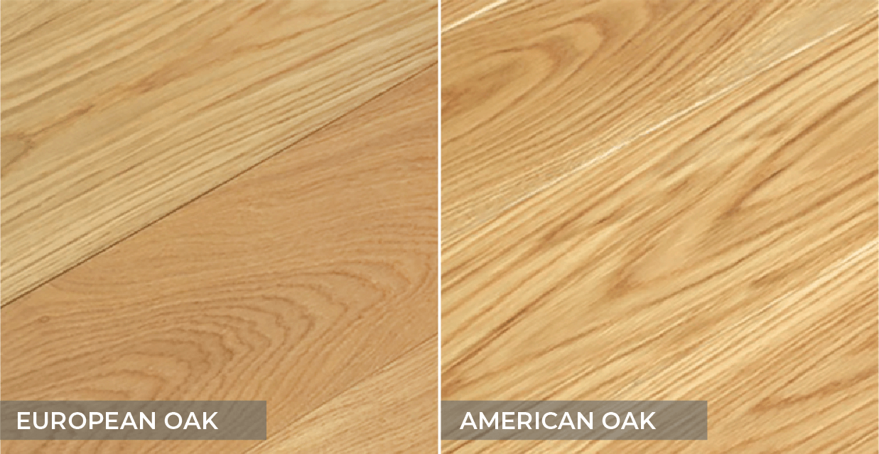 European vs. American Oak: How to Distinguish Between Them