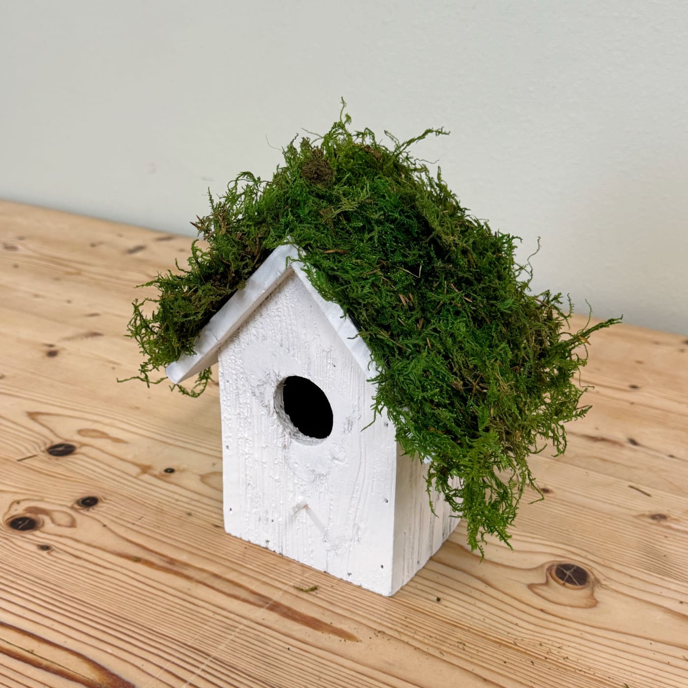 Moss Birdhouse