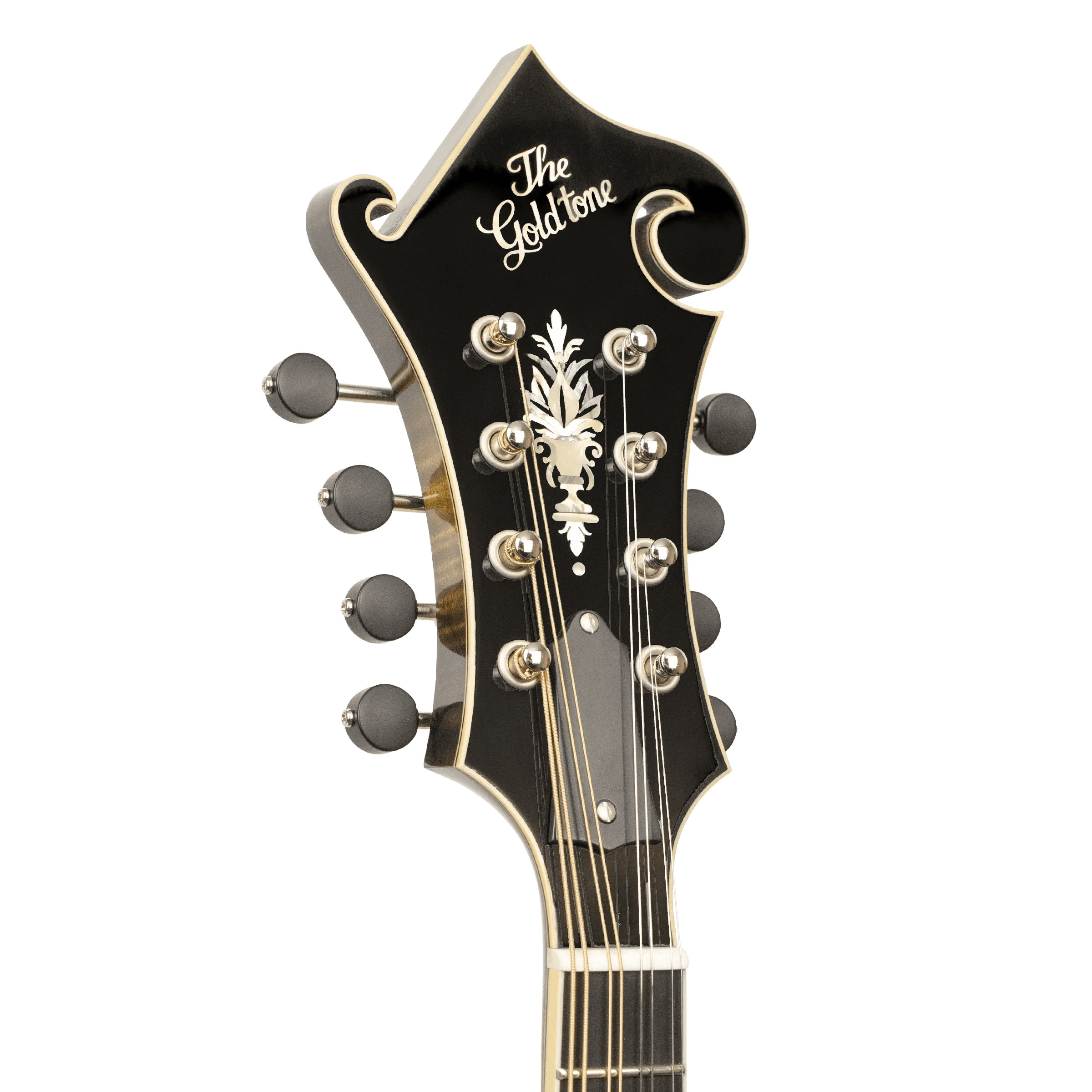 Gold Tone Super Cremona headstock with The Gold Tone script logo, flowerpot inlay and Gotoh tuners