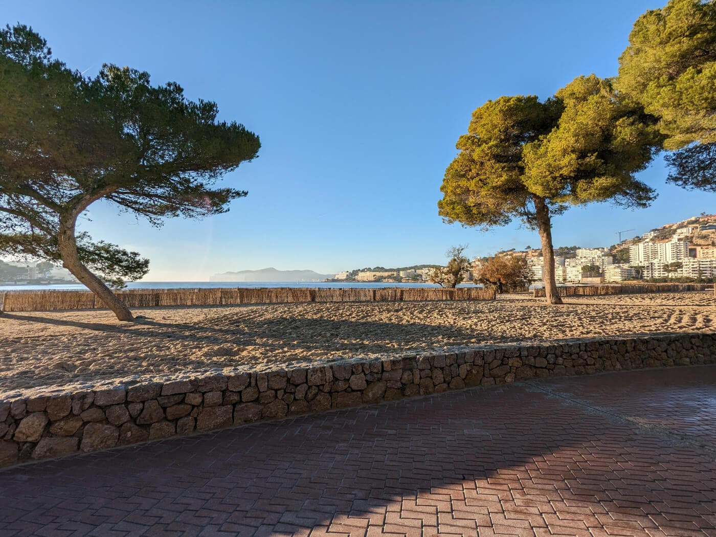 Calviá in January