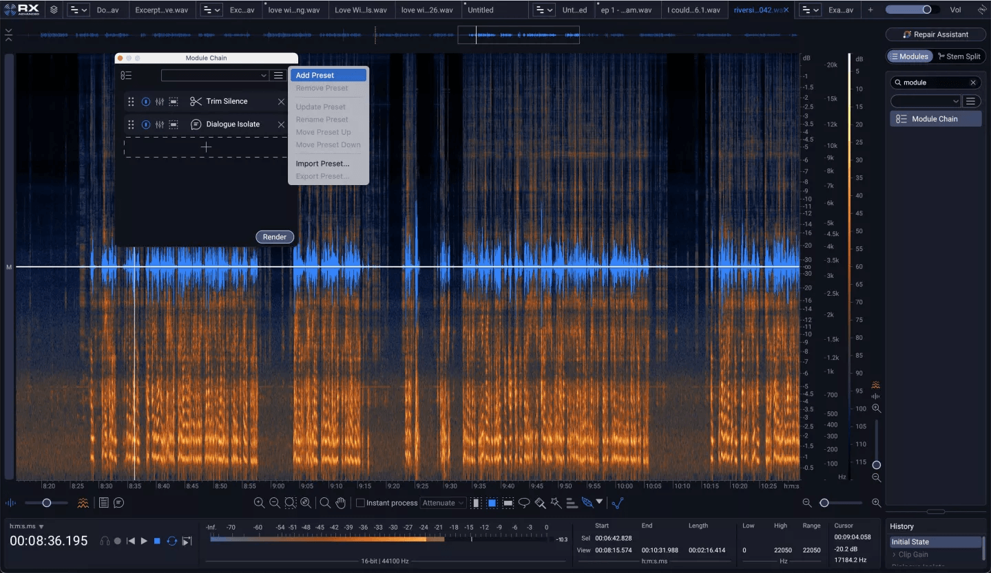 Adding presets in the module chain in RX 12