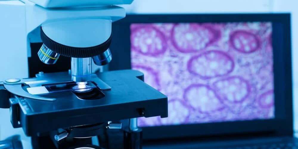 Building a Microscopy Notebook: Metadata, Measurements, and Reporting Templates