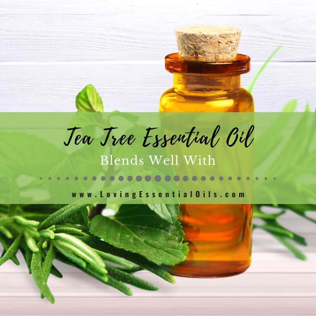 What Blends Well With Tea Tree Essential Oil? Pairings + Recipes