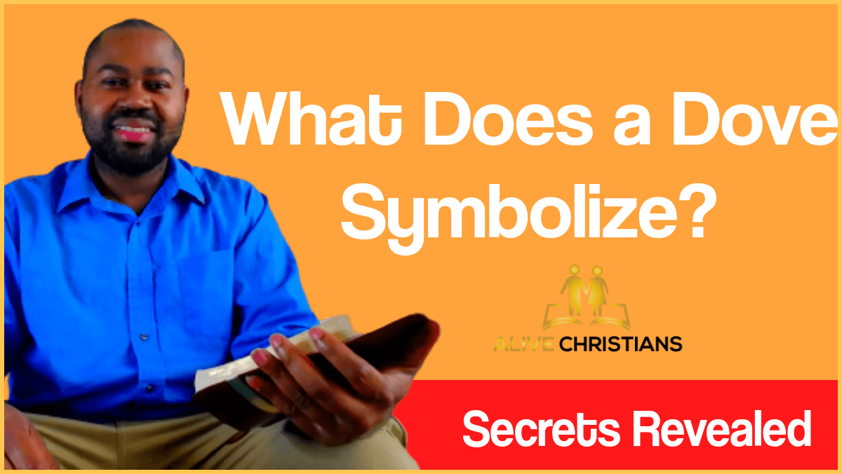 What Does A Dove Symbolize in Scripture?