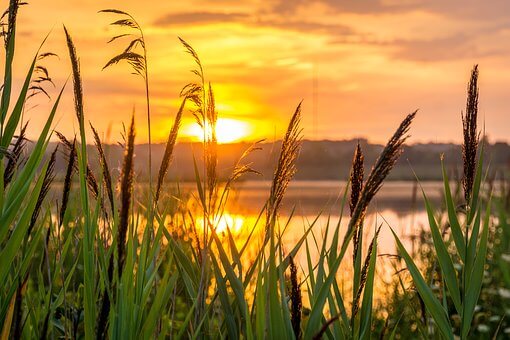 sunrise-1670979__340