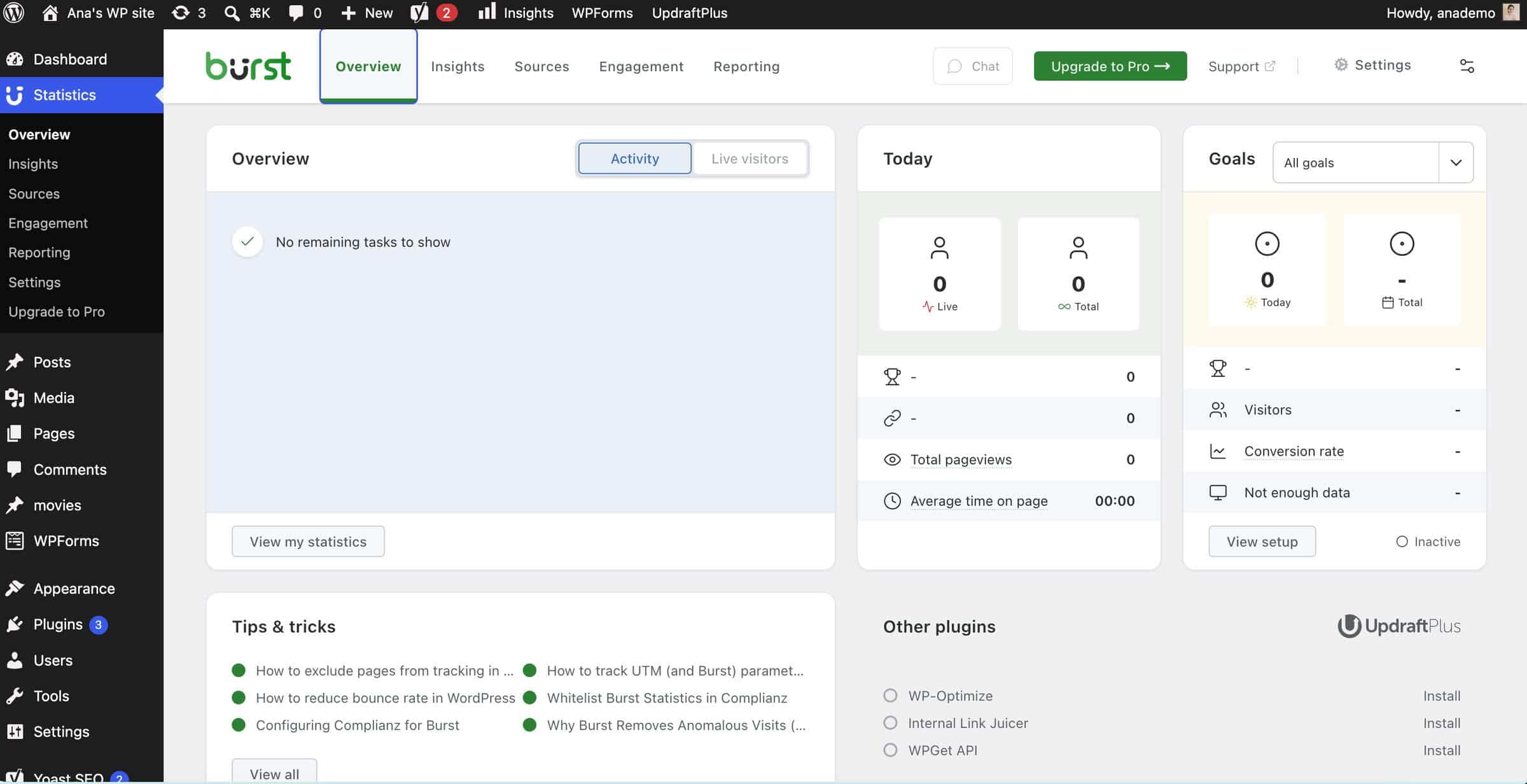 WordPress blogging plugin: Burst Statistics