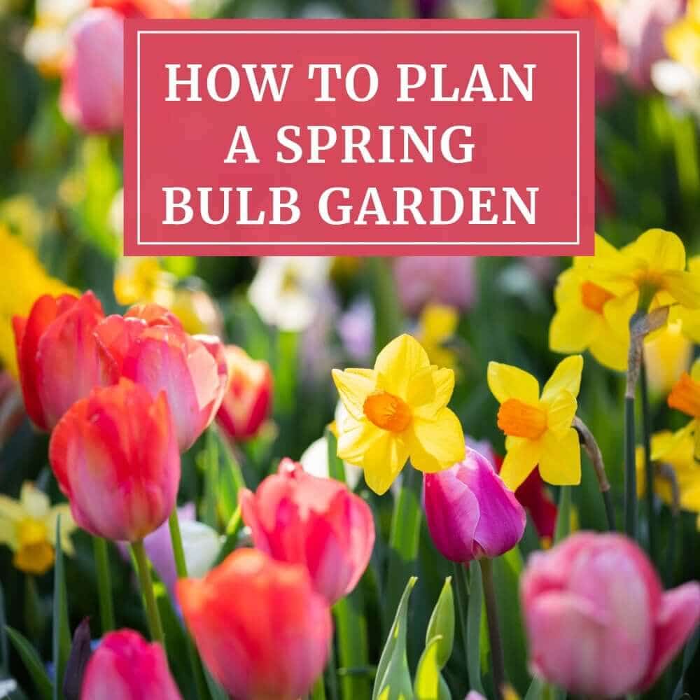 How to Plan a Spring Bulb Garden
