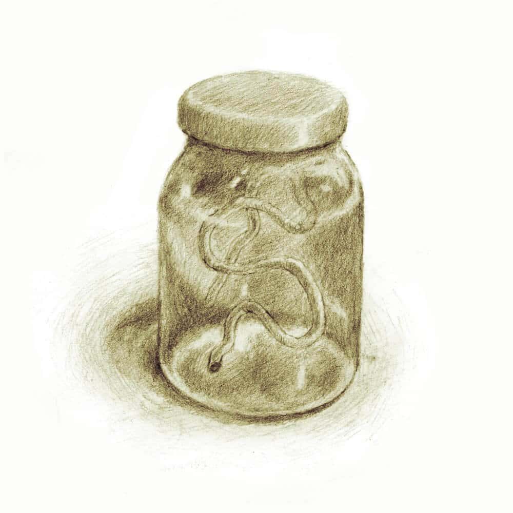 Ursula as a worm in a jar—Nik Henderson art