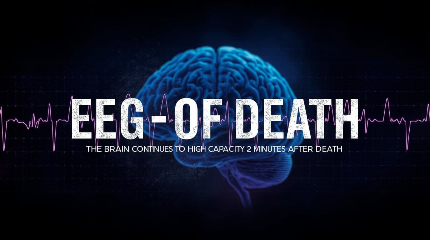 EEG of Death: Wenn das Gehirn nach dem Tod noch 2 Minuten auf Hochtouren läuft