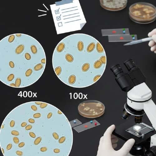 Under the Microscope