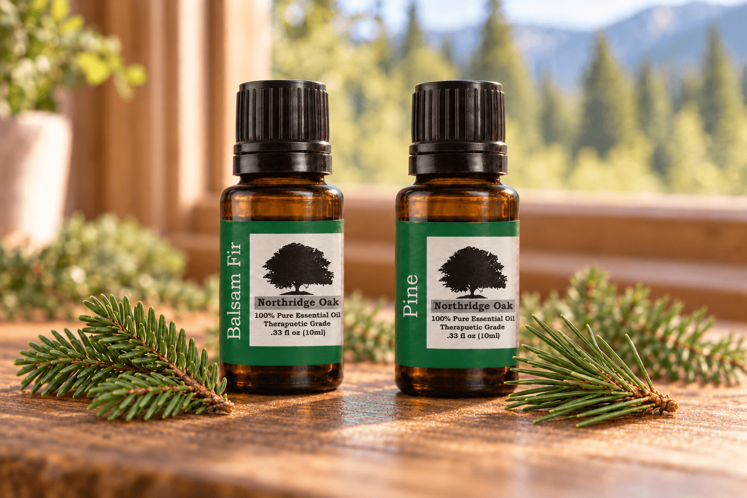 Balsam Fir vs Pine vs Spruce Essential Oil